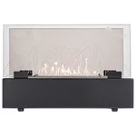 Биокамин Firelight BFP/T-3520 Glass 2
