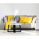 Увлажнитель ультразвуковой Zanussi ZH 4.5 T Classico 5