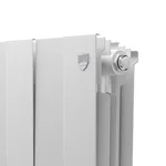 Радиатор биметаллический Royal Thermo PianoForte 200 Белый - 12 секц. 4