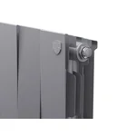 Радиатор Royal Thermo PianoForte 200 /Silver Satin - 8 секц. 3
