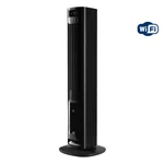 Охладитель воздуха Ballu RISE BCOOL-04L RI Black 1