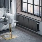 Радиатор Royal Thermo PianoForte 300 /Noir Sable - 16 секц. 7
