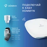 Розетка умная HOMMYN Smart Plug RKNZ01 6
