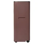 Кондиционер мобильный Ballu Twinkle BPAC-09 DWR/N6 Red 3