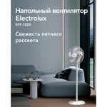 Вентилятор напольный Electrolux EFF-1005 6
