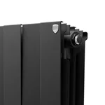 Радиатор Royal Thermo PianoForte 300 /Noir Sable - 8 секц. 5