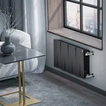 Радиатор Royal Thermo PianoForte 300 /Noir Sable - 8 секц. 7