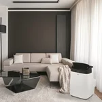 Кондиционер мобильный Ballu Smart Wind BPAC-09 SW/N1 10
