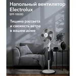 Вентилятор напольный Electrolux EFF-1003D 10