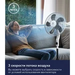 Вентилятор напольный Electrolux EFF-1003D 14