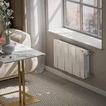 Радиатор Royal Thermo PianoForte 300 /Bianco Traffico - 8 секц. 7