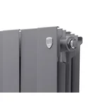 Радиатор Royal Thermo PianoForte 300 /Silver Satin - 6 секц. 3