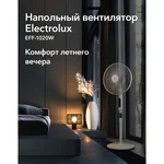 Вентилятор напольный Electrolux EFF-1020W 8