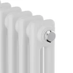 Дизайн-радиатор Royal Thermo Insignia C2180 - 14 секц. RAL9016 3