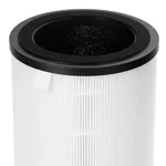 Фильтр Electrolux FAP-2050 ANTI DUST 3