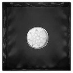 Биокамин Firelight BFP/T-2020 Black 6