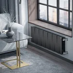 Радиатор Royal Thermo PianoForte 300 /Noir Sable - 14 секц. 7